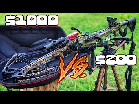 Cold Steel Cheap Shot vs Expensive Crossbow SHOWDOWN!