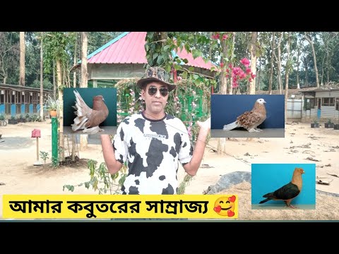 আমার কবুতরের সাম্রাজ্য 🐦🥰 ll SARKAR FARM HOUSE II VLOG - 10 II