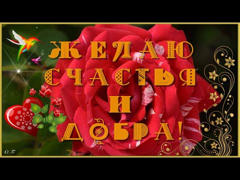 ЖЕЛАЮ СЧАСТЬЯ И ДОБРА! ПОЖЕЛАНИЕ СЧАСТЬЯ ДЛЯ ДРУЗЕЙ, РОДНЫХ И БЛИЗКИХ.