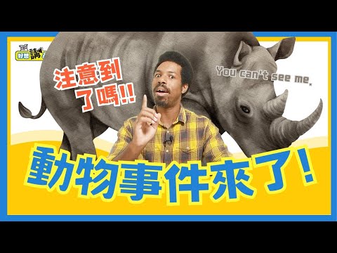 灰犀牛、黑天鵝...用動物表達的事件 | Animal Idioms | 好想講英文