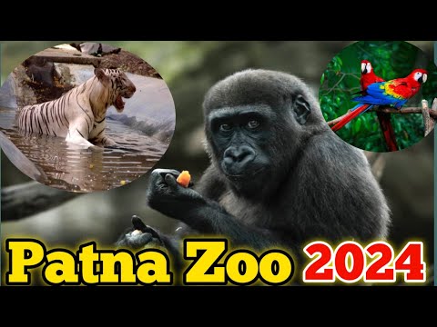 Patna Zoo Full Information 2024 || पटना चिड़ियाघर 2024