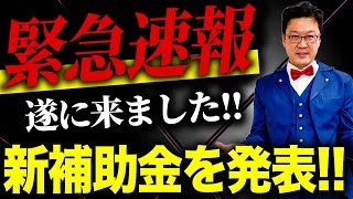 【速報】2025年の補助金をプロが徹底解説！！スケジュールや準備するものまでこの動画で全て分かります！！