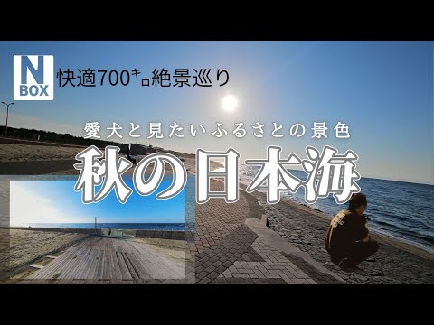 50代夫婦、海で黄昏る【快適❣️N-BOXとわんこの休日】 引きこもり主婦の休日は海🏝️新潟・小針海岸へ！日本海に沈む夕日がとても美しいスポットで秋晴れの海辺散歩