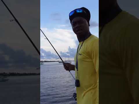 He caught a fish in 30 seconds #fishing #fishinglife #fish #justfishing #fyp #viral #short #shorts