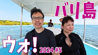 【バリ島】#05 レンボンガン島でシュノーケリングとマングローブの森