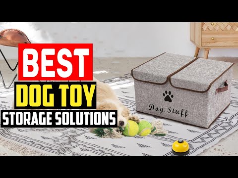 ✅Top 5 Best Dog Toy Storage Solutions for Every Space in 2025