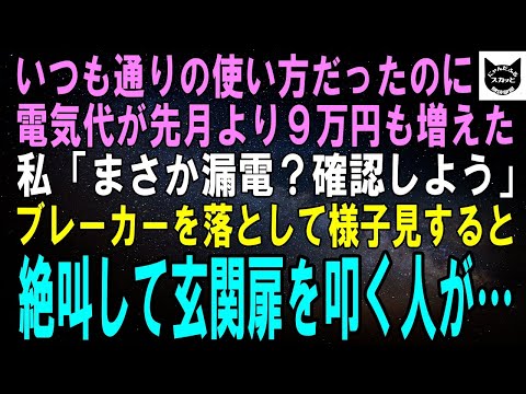 【スカッとする話】去年と使い方が変わってないのに電気代が2万円→10万円に…私「絶対おかしいよね。原因を探そう」全てのブレーカーを切った翌朝、半狂乱で玄関扉を叩く人が現れ…【修羅場】