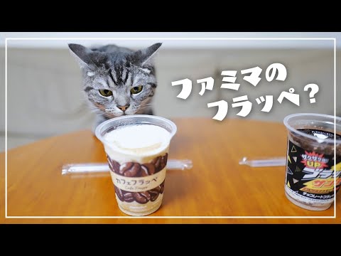 ファミマの人気フラッペに愛猫もこの表情ですw