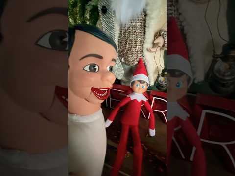 Elf on the Shelf #elf #funnyshorts #christmas #holidays #silentnight #elfontheshelfideas #puppet