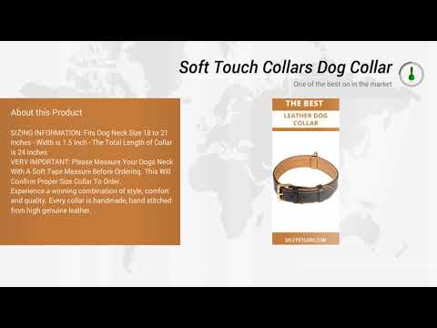 Soft Touch Collars  Luxury Real Leather Padded Dog Collar