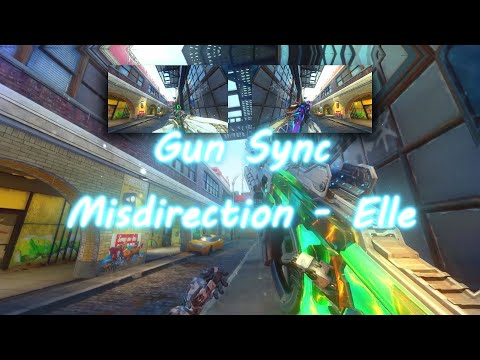 BO3 Gun Sync - Misdirection - Elle