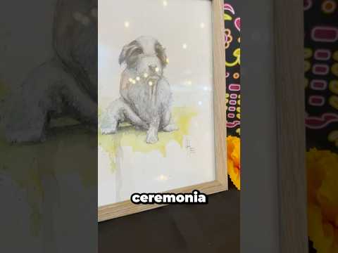 Ceremonia para perritos trascendidos.