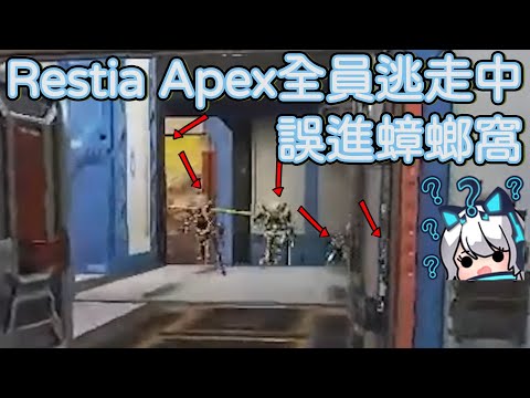 【Restia精華】在Apex裏不小心跑進蟑螂窩是否搞錯了什麽【Restia 瑞斯帝亞 / 15號 / 赤羽亞矢 / 補路ブブカ / 嗚夫沃夫 / 烟花蹦蹦蹦 / 猫夜凜 / 黑野悠真】