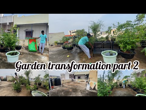 Garden transformation part 2