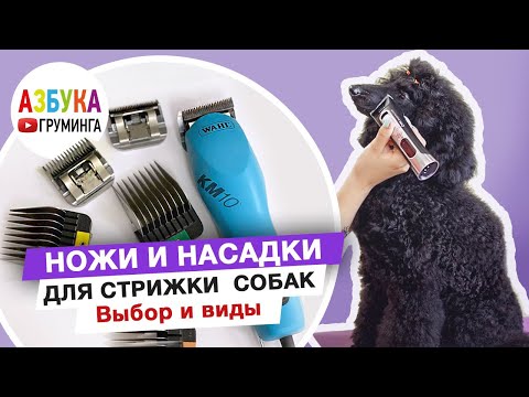 Смена ножа для стрижки собак, насадки на машинку