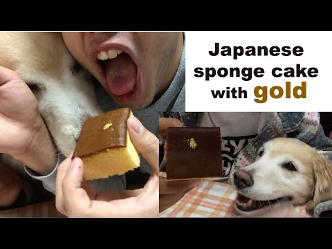 EATING CAKE W/ GOLD powder |REVIEW| With special participation of a GOLD retriever