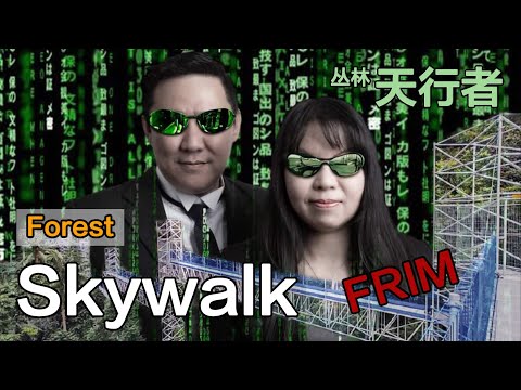 FOREST SKYWALK FRIM2022 天空步道的8大观点 Steven&Leong｜慧走高飞001