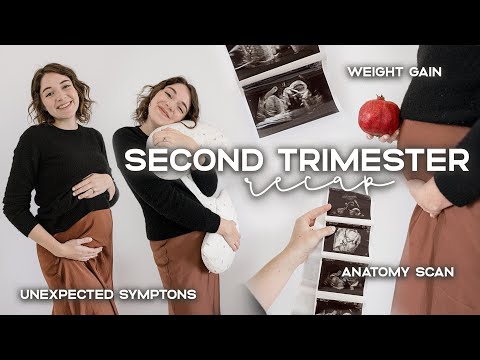 SECOND TRIMESTER RECAP | Weird Pregnancy Symptoms, Weight Gain & Must Haves