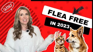 Stay Flea Free in 2023