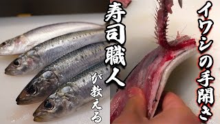 【神捌き】イワシの手開き！きれいに骨を取る方法(sardine)(sushi)【鮨浩也】