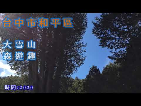 S隨走｜大雪山森林遊樂區｜和平區｜台中市｜鳶嘴山、橫嶺山、令人嚮往挑戰的山林道路(上集)