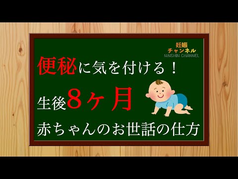 【生後8ヶ月①】ハイハイやタッチを始める✨ 生後8ヶ月赤ちゃんのお世話の仕方