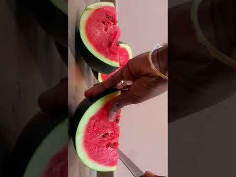 పుచ్చకాయ 👌👌👌👌Arabic kuthu song / telugu shorts / watermelon cutting