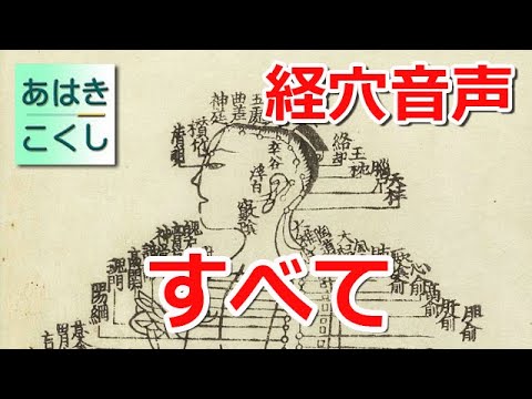 経穴 暗記用音声 14経脈 すべて  [あはきこくし]