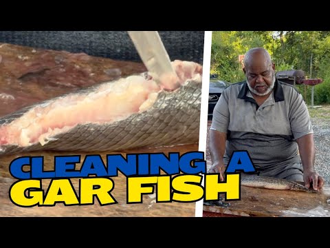 CLEANING A GAR FISH #fypyoutube #fishing #garfish #fish #explorepage