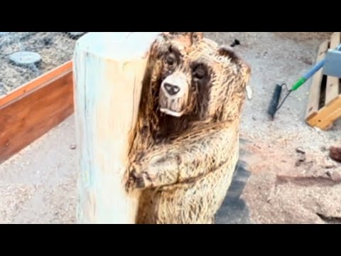 Woodworking ￼Chainsaw carving