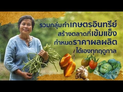 เกษตรอินทรีย์ริมสีม่วง รวมกลุ่มทำเกษตรอินทรีย์ ผลผลิตดี ไม่พอขาย