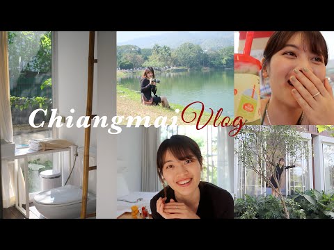 Travel to Chiang Mai part.1🇹🇭Best hotel/local food, drinking coconuts everyday!!