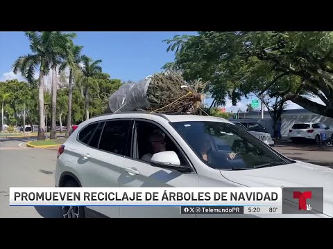 Servicarro para reciclar árboles naturales de Navidad en San Juan