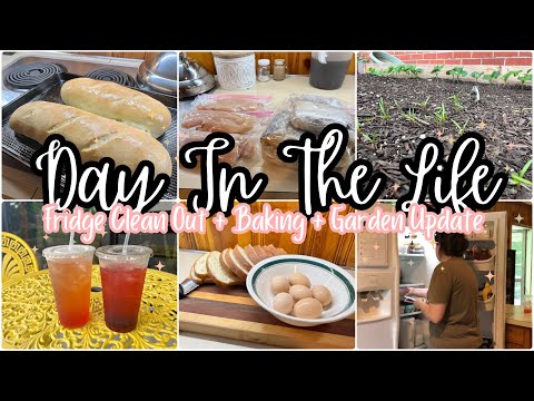 Everyday Homemaking || Fridge Clean Out + Kitchen Refresh + Best Bread Recipe