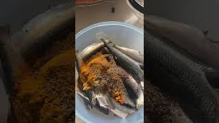 #easyfishrecipes #begginers #begginersrecipe #easyfishfry #mathifry #sardinesrecipe #fishlover