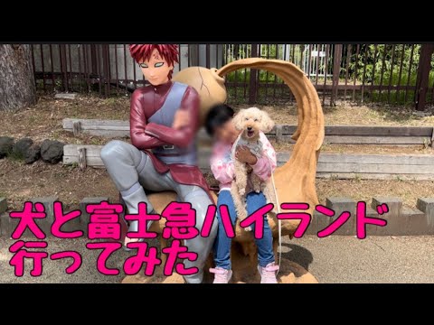 【犬と旅行】　最終日　犬といくテーマパーク