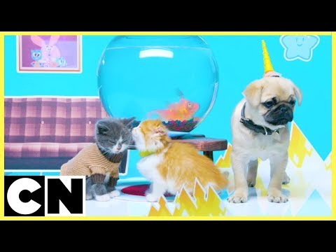 Cute Bloopers 🐱🐶  | Unikitty & The Amazing World of Gumball | Cartoon Network