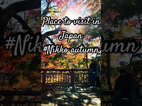 Place to visit in Japan #nikko #autumn #mapleleaves #japantravel #placetovisitinjapan #japan