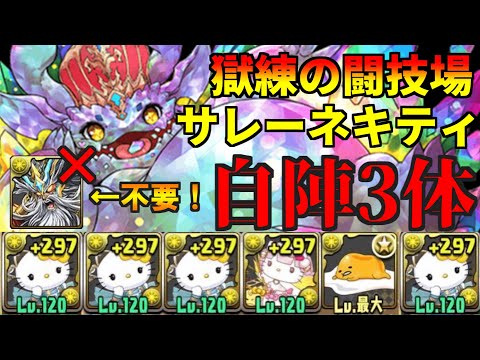 【DMゼウスなし】獄練の闘技場をサレーネキティ自陣3体で周回！【パズドラ】