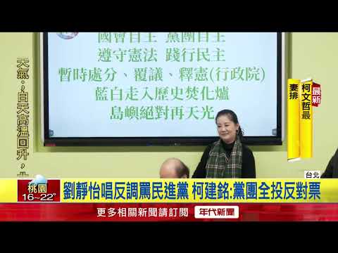 大法官團滅！ 劉靜怡「只拿8票」首吐心聲　柯建銘揭封殺理由