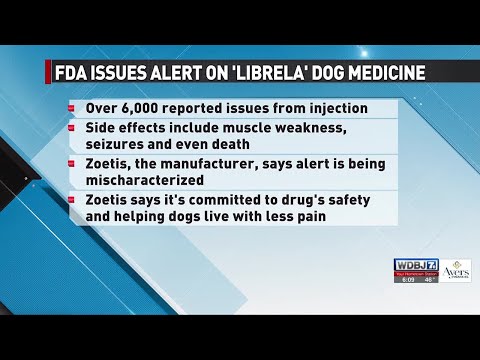 Dog Pain Medication Linked to Illness, Death