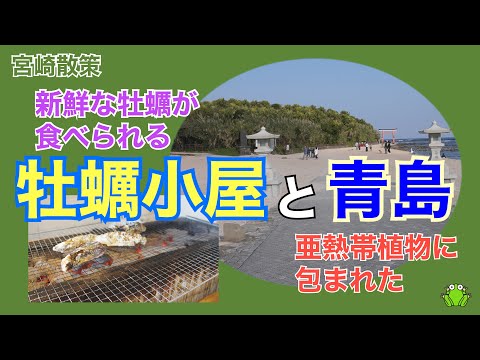 【宮崎】新鮮な牡蠣が食べられる牡蠣小屋と亜熱帯植物に包まれた青島