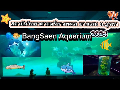 พิพิธภัณฑ์สัตว์น้ำบางแสน ม.บูรพา BangSaen Aquarium