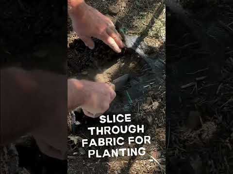 Gardening Tip: Hori Hori Use #729 - Cutting Landscape Fabric.  #gardeningadvice #gardeningtips