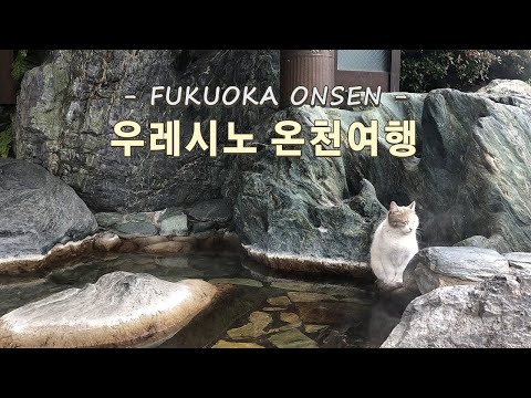 일본 온천여행 ♨️ 후쿠오카 우레시노 온천마을 | 요시다야 료칸 | 🍶 도자기헌팅 | 온천두부 맛집 😋