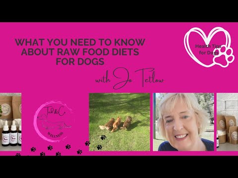 What You Need to Know About Raw Food Diets for Dogs