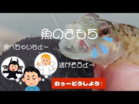 【魚のきもち】になってみた❗