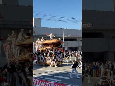 東岸和田だんじり祭　畑町やり回し　#だんじり祭り　#祭り