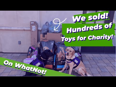 The WhatNot Community Helped Us Donate Thousands to Veterans & Service Dogs! #veterans #toyhunting