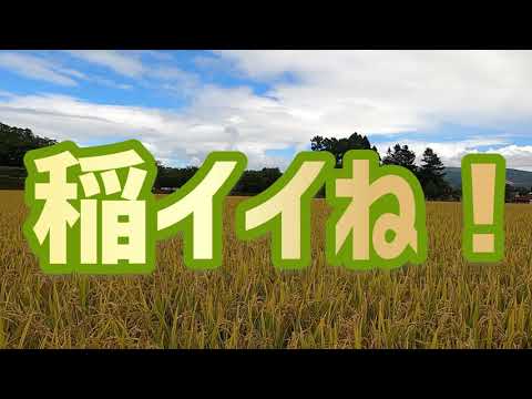 【北海道北斗市】北海道大野農業高等学校ふるさと納税PR動画